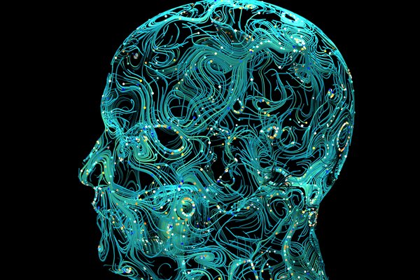 digital head