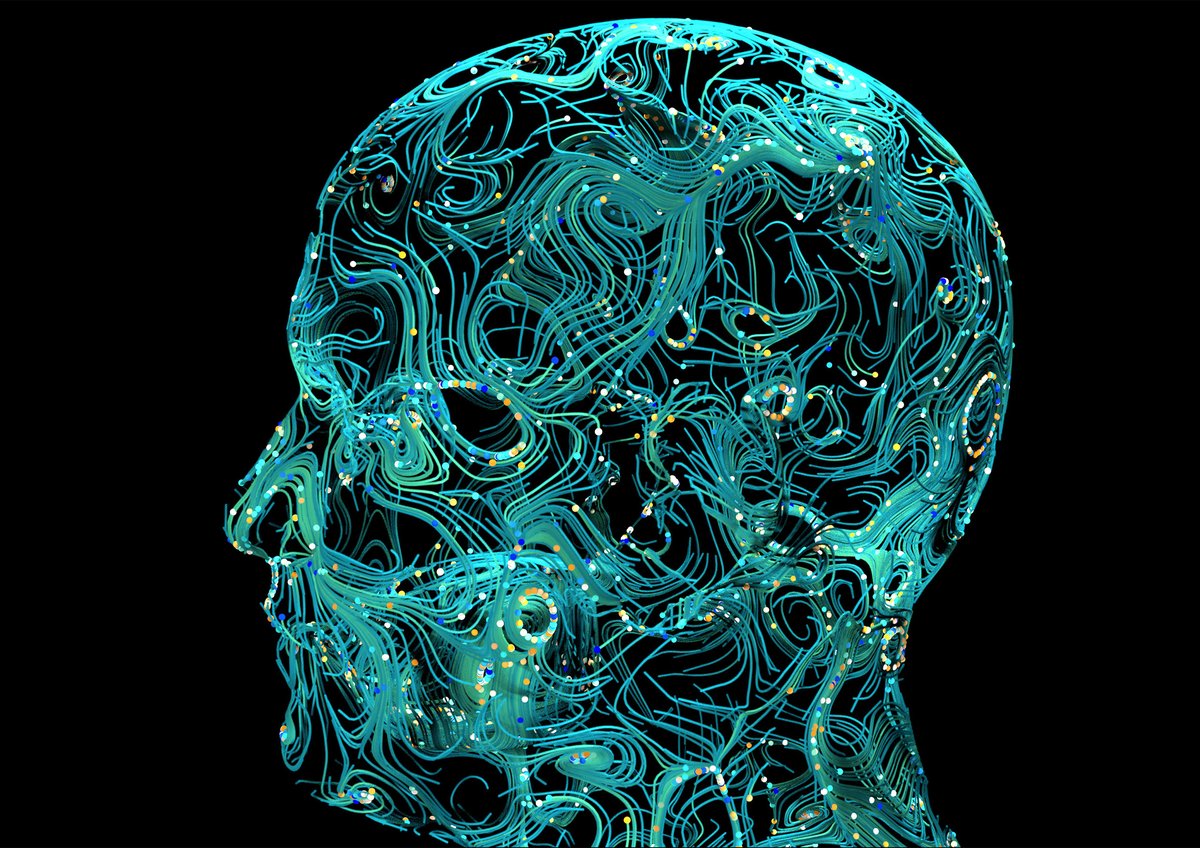 digital head