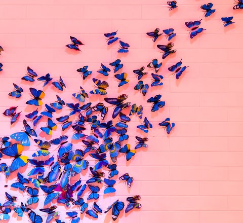 __-drz-__-CK7rdTauhDE-unsplash