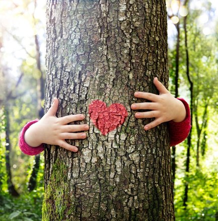 tree heart