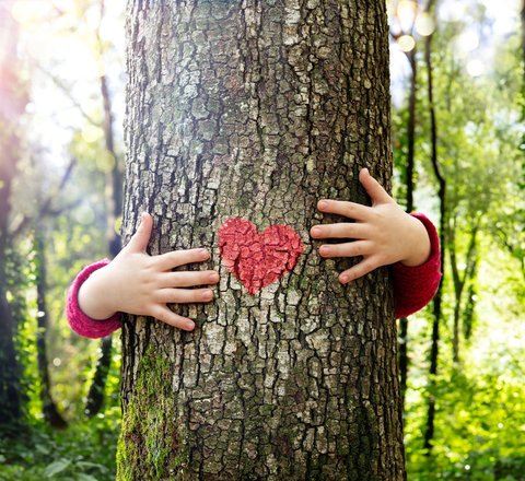 tree heart